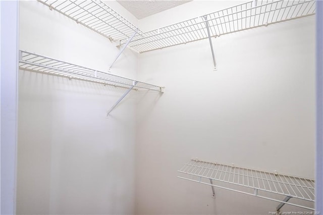 3401 Lainey Ln Unit D, Fayetteville, NC 28314 - view of spacious closet