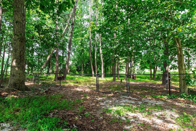 2464 Village Of Wakefield Dr, Zebulon, NC 27597 - view of nature