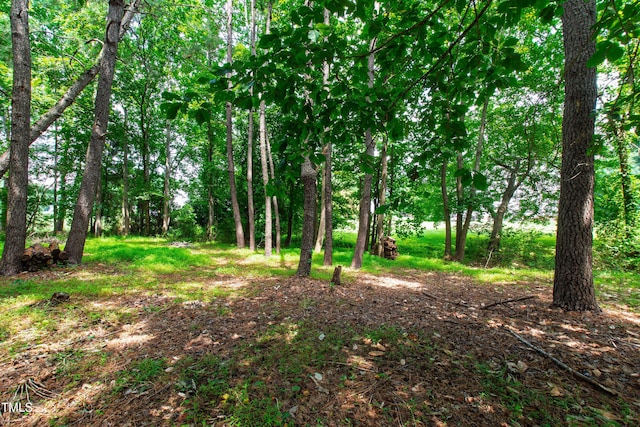 2464 Village Of Wakefield Dr, Zebulon, NC 27597 - view of local wilderness