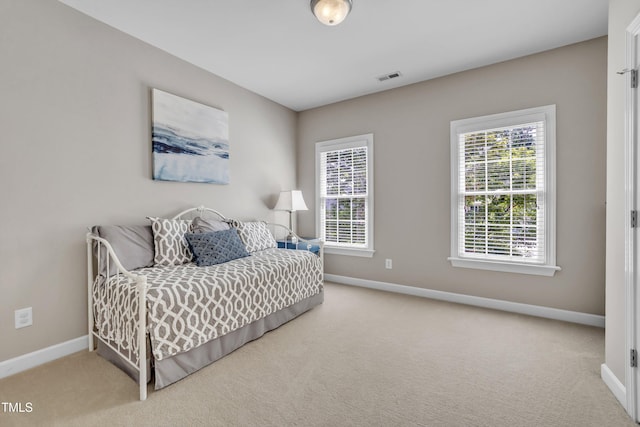 11721 Wake Bluff Dr, Raleigh, NC 27614 - photo 56