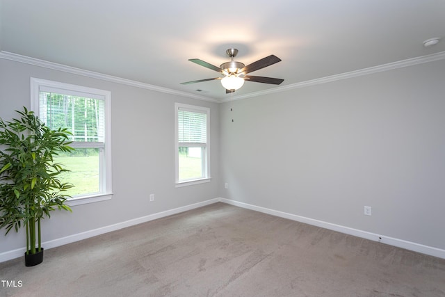 315 Tar River Ave, Louisburg, NC 27549 - photo 11