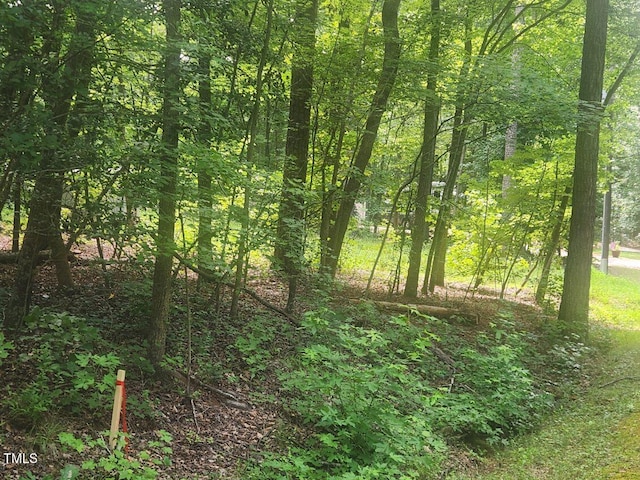 111 Miami Ln, Louisburg, NC 27549 - photo 4