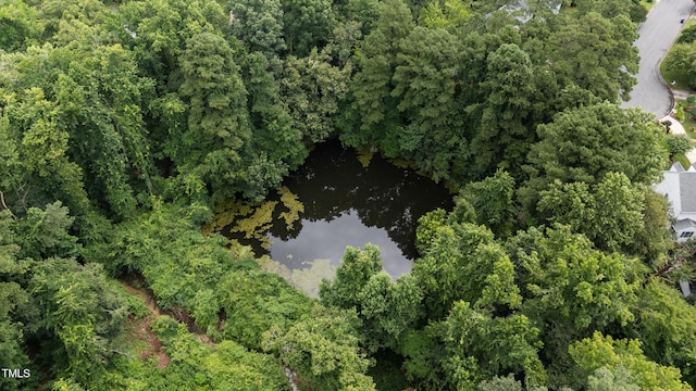 1310 Martin Luther King Pkwy, Durham, NC 27707 - aerial overview of property's location featuring a nearby body of water