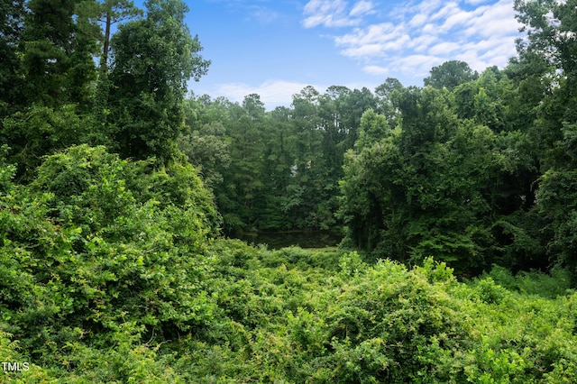 1310 Martin Luther King Pkwy, Durham, NC 27707 - view of tree filled area