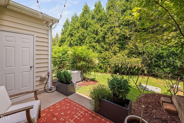 7864 Silverthread Ln, Raleigh, NC 27617 - photo 30