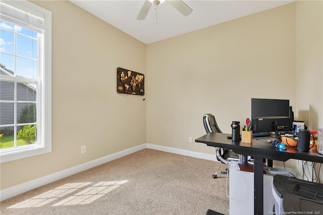 221 Kimbrough Dr, Lillington, NC 27546 - photo 15