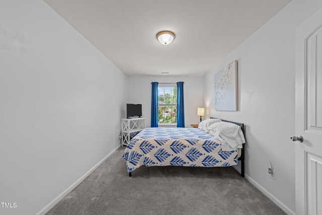 3801 Windsnap Dr, Wake Forest, NC 27587 - bedroom with carpet