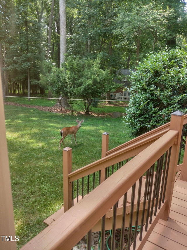 11636 Appaloosa Run W, Raleigh, NC 27613 - deck with a yard