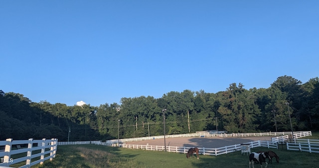 11636 Appaloosa Run W, Raleigh, NC 27613 - view of yard featuring a wooded view and a view of countryside