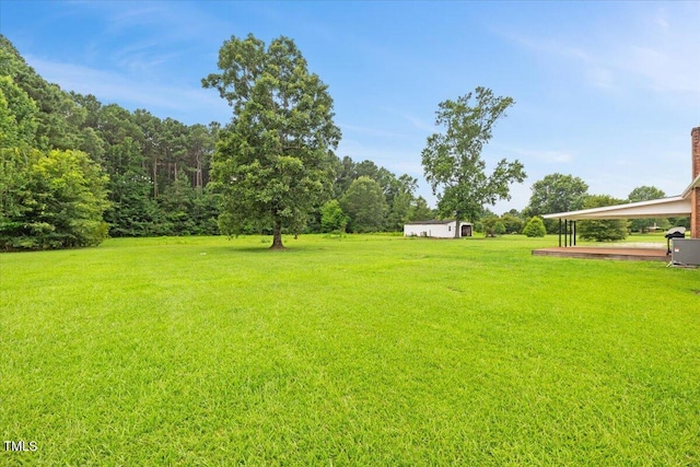 482 Hinnant Rd, Selma, NC 27576 - photo 53