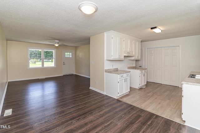204 Mercer Ct, Goldsboro, NC 27530 - kitchen featuring dark wood finished floors, white cabinets, a ceiling fan, under cabinet range hood, and a textured ceiling