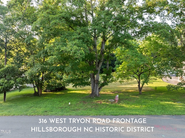 316 W Tryon St, Hillsborough, NC 27278