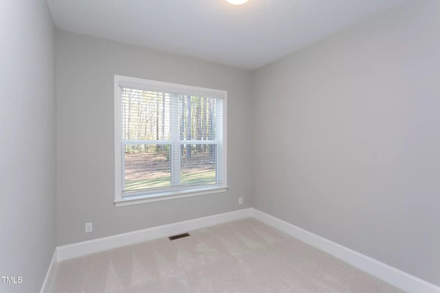 173 Ascot, Rocky Mount, NC 27804 - photo 10