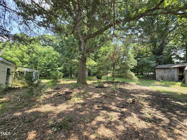 8564 Crutchfield Rd, Snow Camp, NC 27349 - photo 3