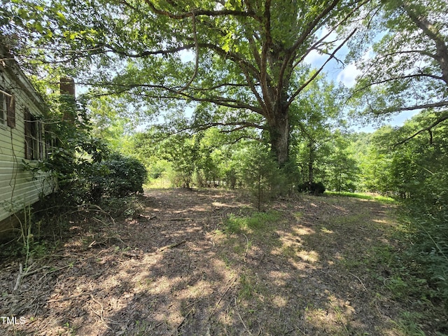 8564 Crutchfield Rd, Snow Camp, NC 27349 - photo 7