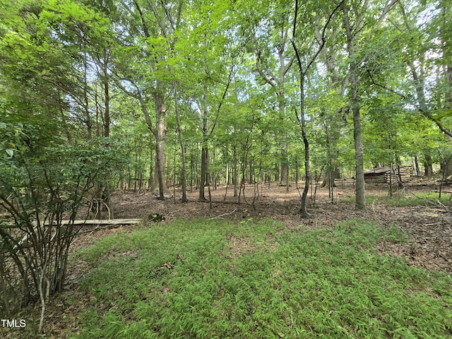 8564 Crutchfield Rd, Snow Camp, NC 27349 - photo 8