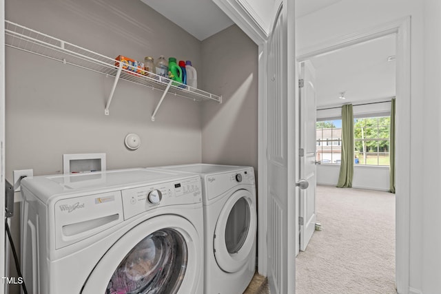 2700 Benevolence Dr, Raleigh, NC 27610 - laundry area featuring carpet and washer and dryer