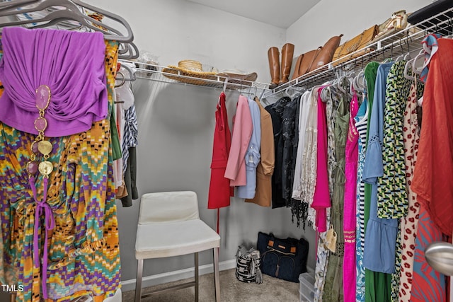 2700 Benevolence Dr, Raleigh, NC 27610 - spacious closet with carpet flooring