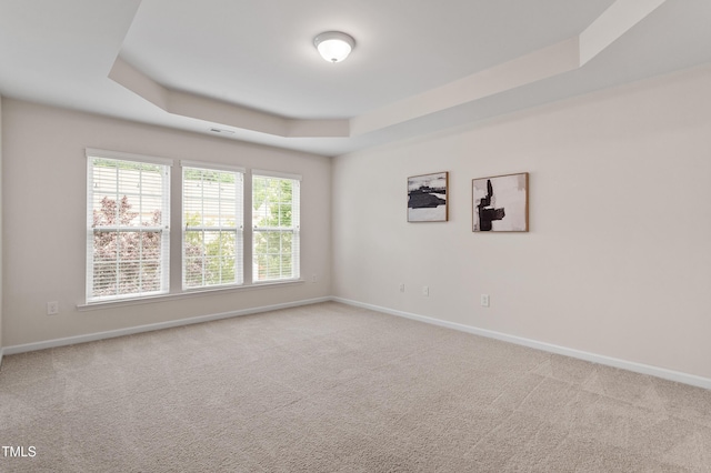 212 Oswego Ct, Morrisville, NC 27560 - spare room with a tray ceiling and carpet floors