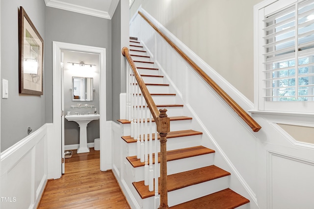 2105 Prescott Pl, Raleigh, NC 27615 - photo 25