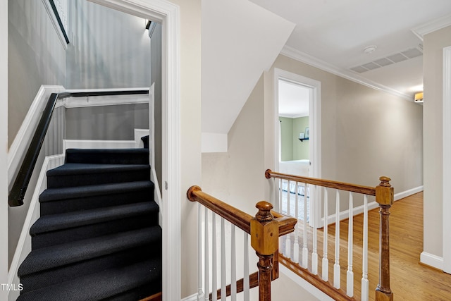 2105 Prescott Pl, Raleigh, NC 27615 - photo 46