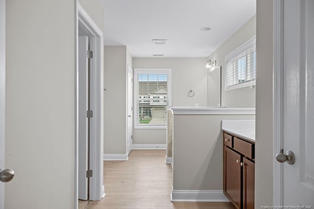 45 Commodore Ct, Cameron, NC 28326 - bathroom featuring vanity, plenty of natural light, and wood finished floors