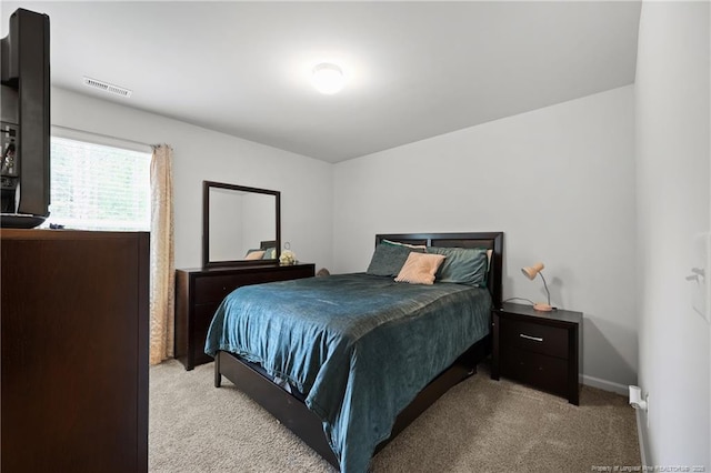 113 Rocking Horse Ln, Sanford, NC 27332 - photo 22