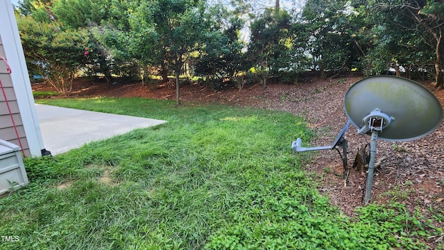 523 Front Ridge Dr, Cary, NC 27519 - view of yard