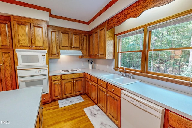 352 River Trace Dr, Rougemont, NC 27572 - photo 17
