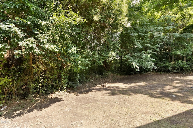 113 Herbert St, Durham, NC 27703 - view of woods