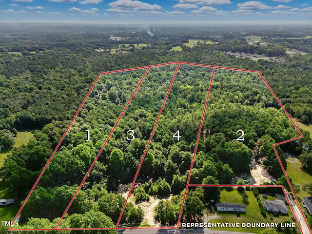 4000/3890 Benson Hardee Rd, Benson, NC 27504 - photo 1