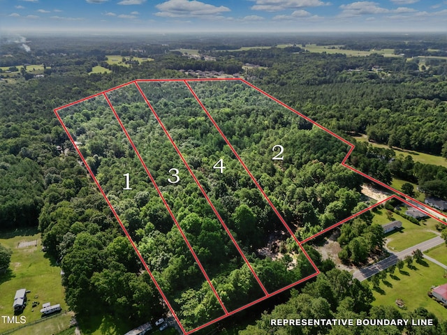 4000/3890 Benson Hardee Rd, Benson, NC 27504 - photo 2