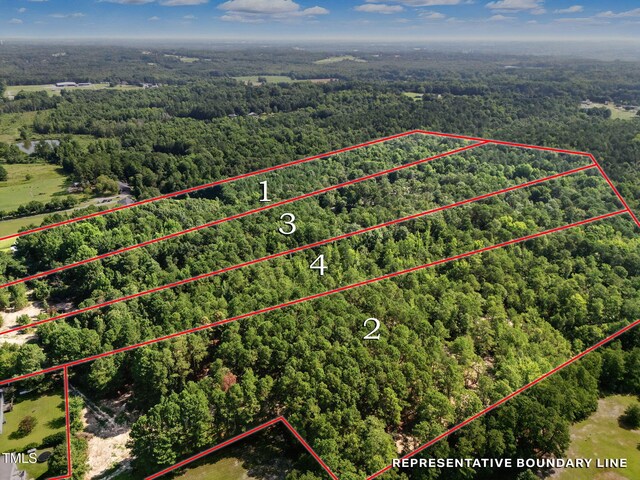 4000/3890 Benson Hardee Rd, Benson, NC 27504 - photo 4