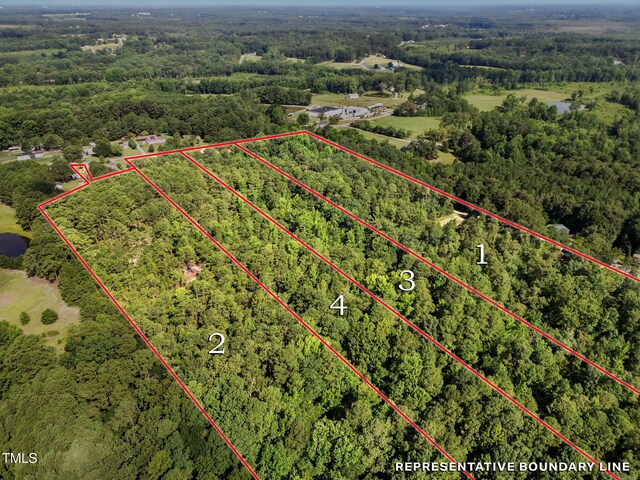 4000/3890 Benson Hardee Rd, Benson, NC 27504 - photo 6