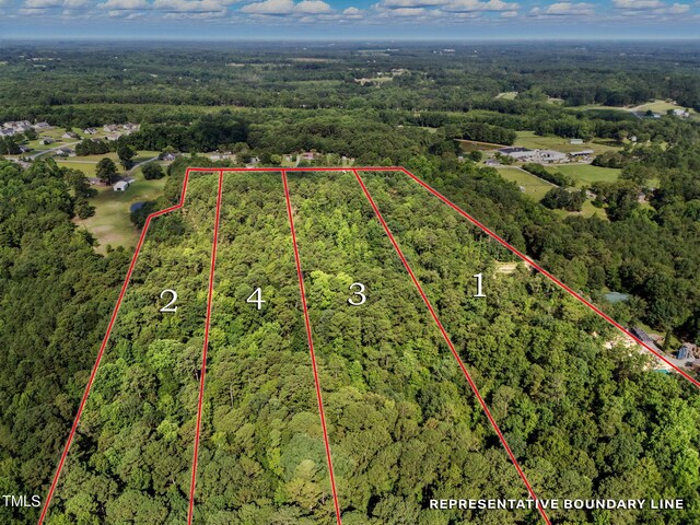 4000/3890 Benson Hardee Rd, Benson, NC 27504 - photo 7