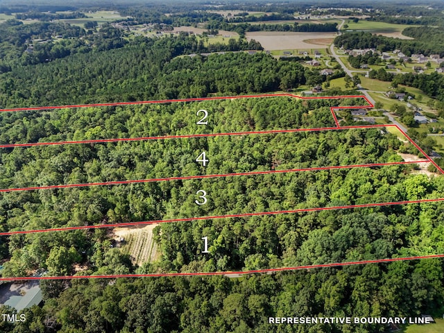 4000/3890 Benson Hardee Rd, Benson, NC 27504 - photo 9