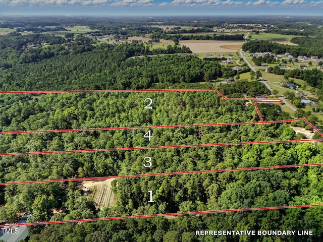 4000/3890 Benson Hardee Rd, Benson, NC 27504 - photo 10