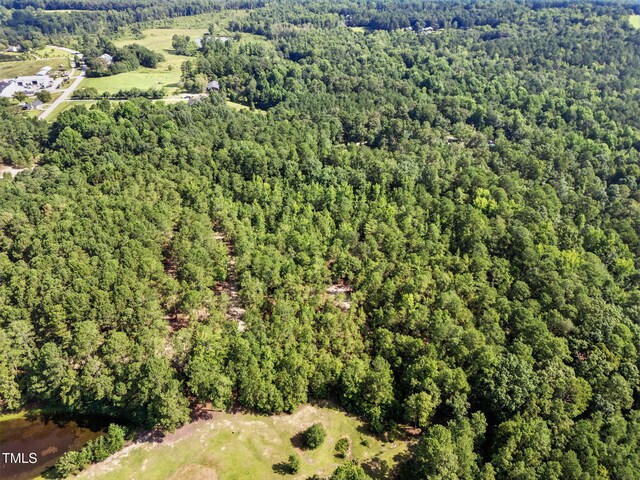 4000/3890 Benson Hardee Rd, Benson, NC 27504 - photo 13