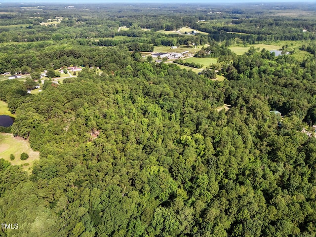 4000/3890 Benson Hardee Rd, Benson, NC 27504 - photo 14