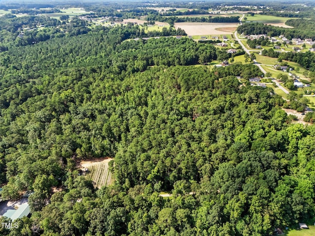4000/3890 Benson Hardee Rd, Benson, NC 27504 - photo 17