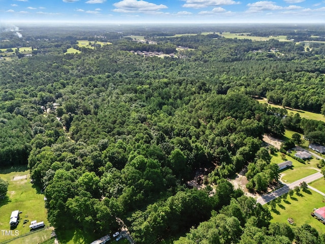 4000/3890 Benson Hardee Rd, Benson, NC 27504 - photo 19