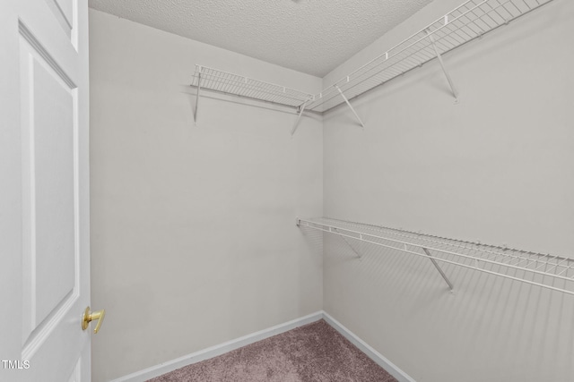 11370 Clubhaven Pl Unit 103, Raleigh, NC 27617 - photo 33