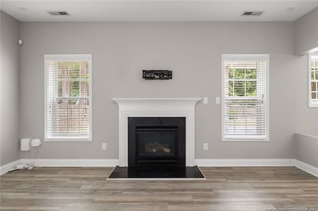 4041 Lifestyle Rd, Fayetteville, NC 28312 - detailed view of wood finished floors and a fireplace with flush hearth