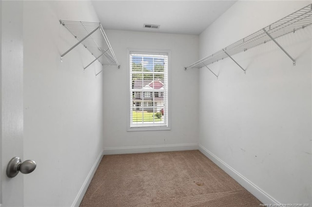 4041 Lifestyle Rd, Fayetteville, NC 28312 - walk in closet with carpet