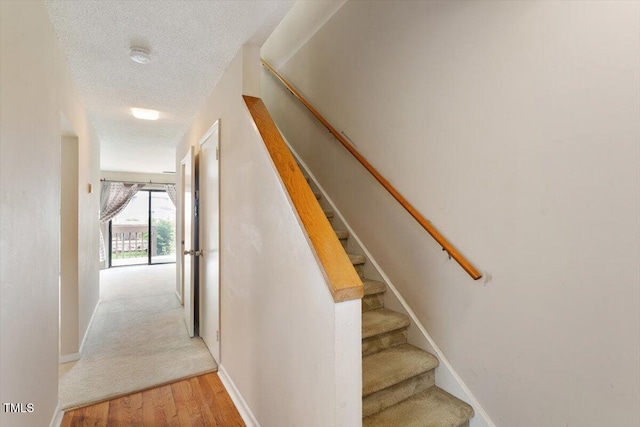 250 S Estes Dr Unit 31, Chapel Hill, NC 27514 - photo 3