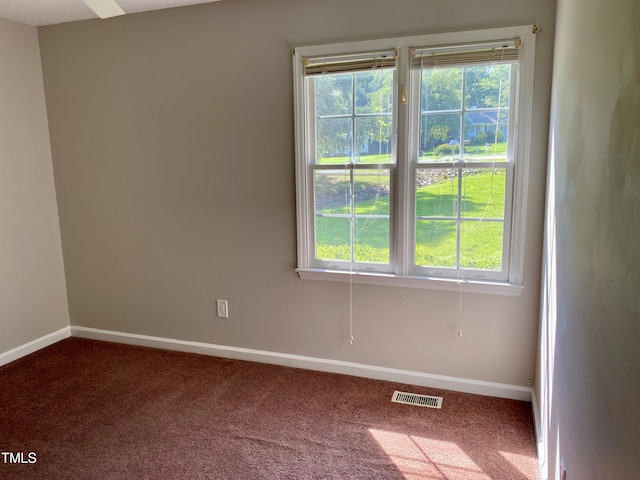 117 Primrose Ln, Clayton, NC 27520 - photo 16