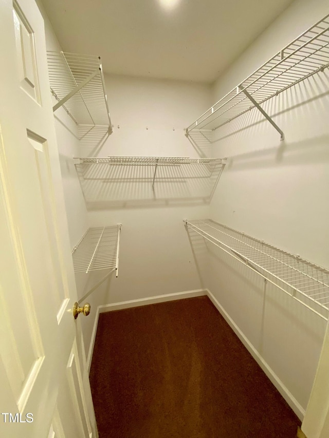 117 Primrose Ln, Clayton, NC 27520 - photo 20