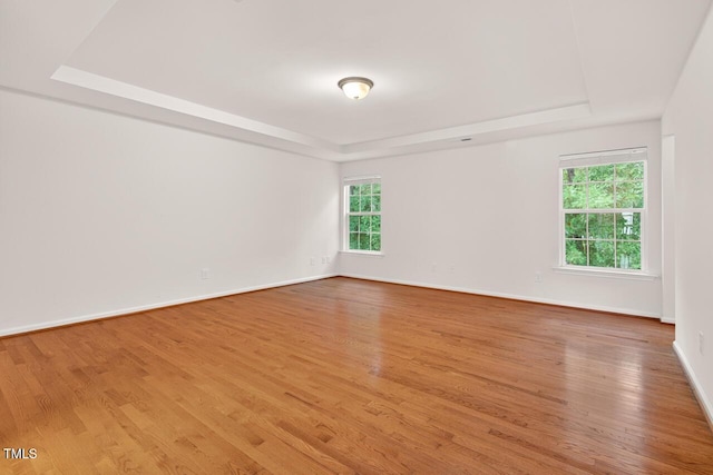 4518 Coral Dr, Durham, NC 27713 - unfurnished room featuring a tray ceiling and wood finished floors