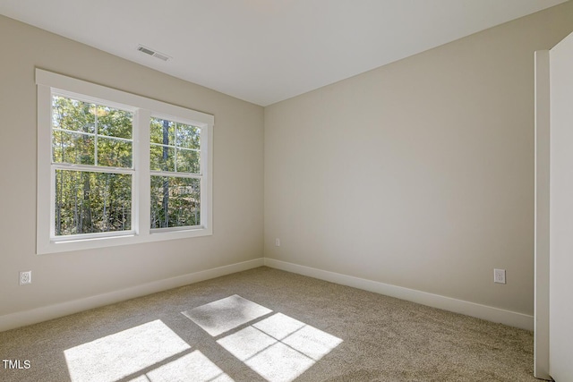 25 Blackhorn Ct, Pittsboro, NC 27312 - photo 57