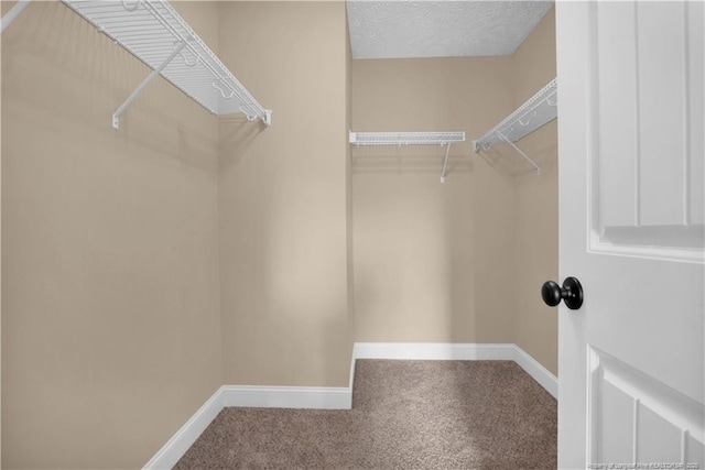 1202 Brickyard Dr, Fayetteville, NC 28306 - photo 22